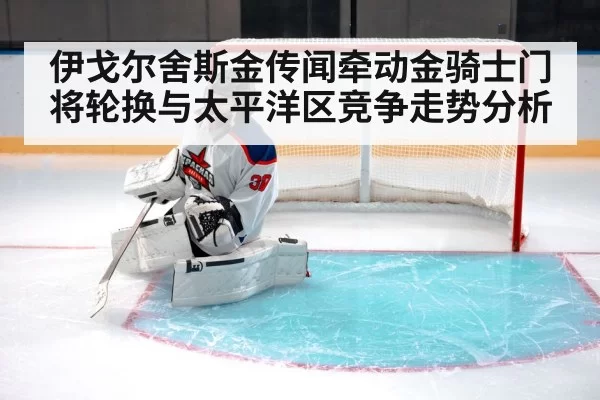 ice hockey goalie crease